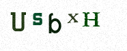 Visual Confirmation Security Code
