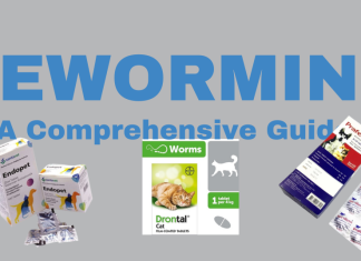 Choosing The Right Deworming Product For Your Pet: A Comprehensive Guide